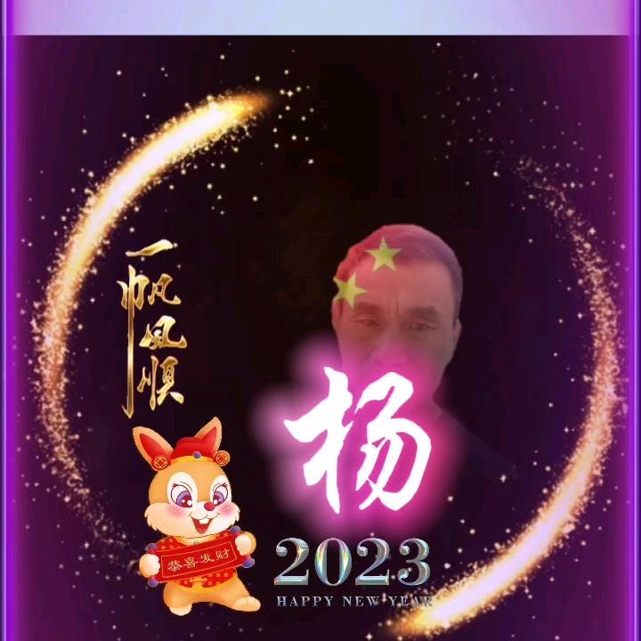 贴砖老杨在郑州