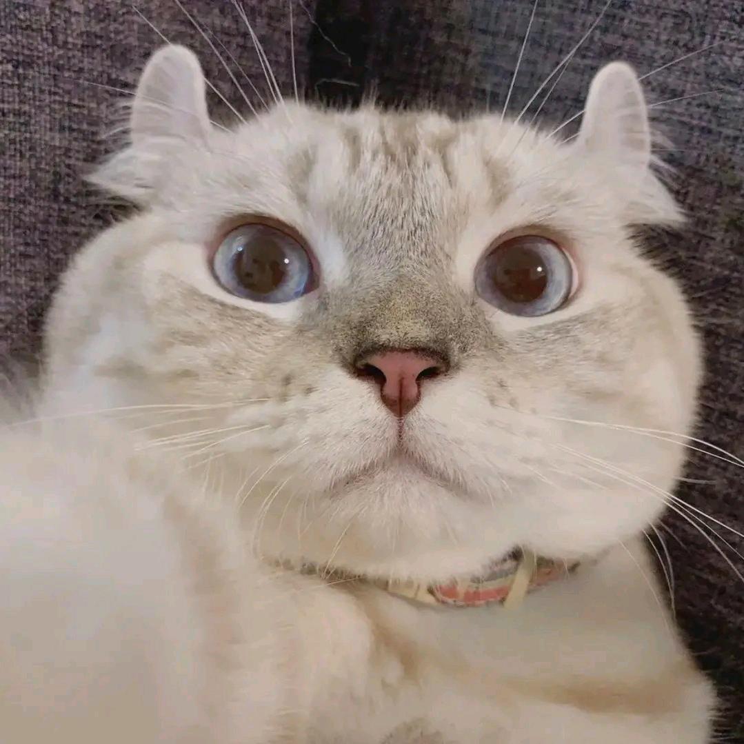 寄予