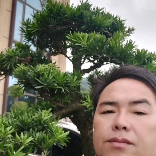 开心