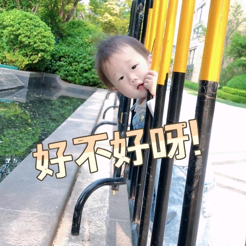 种个小葵吧🌻