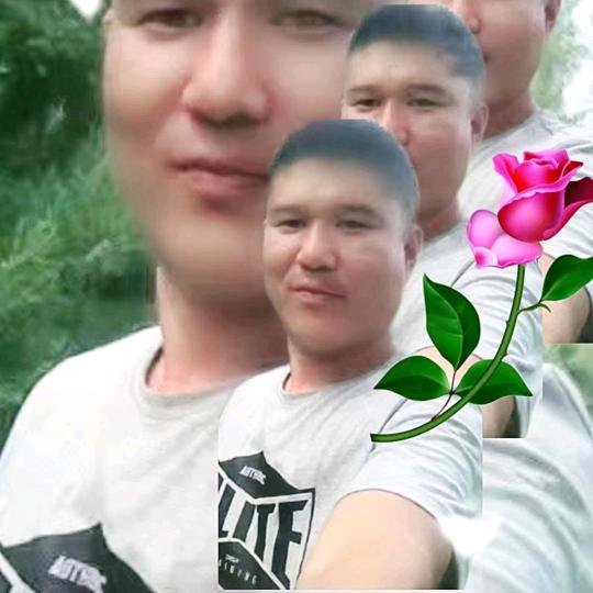fhg付甲一方