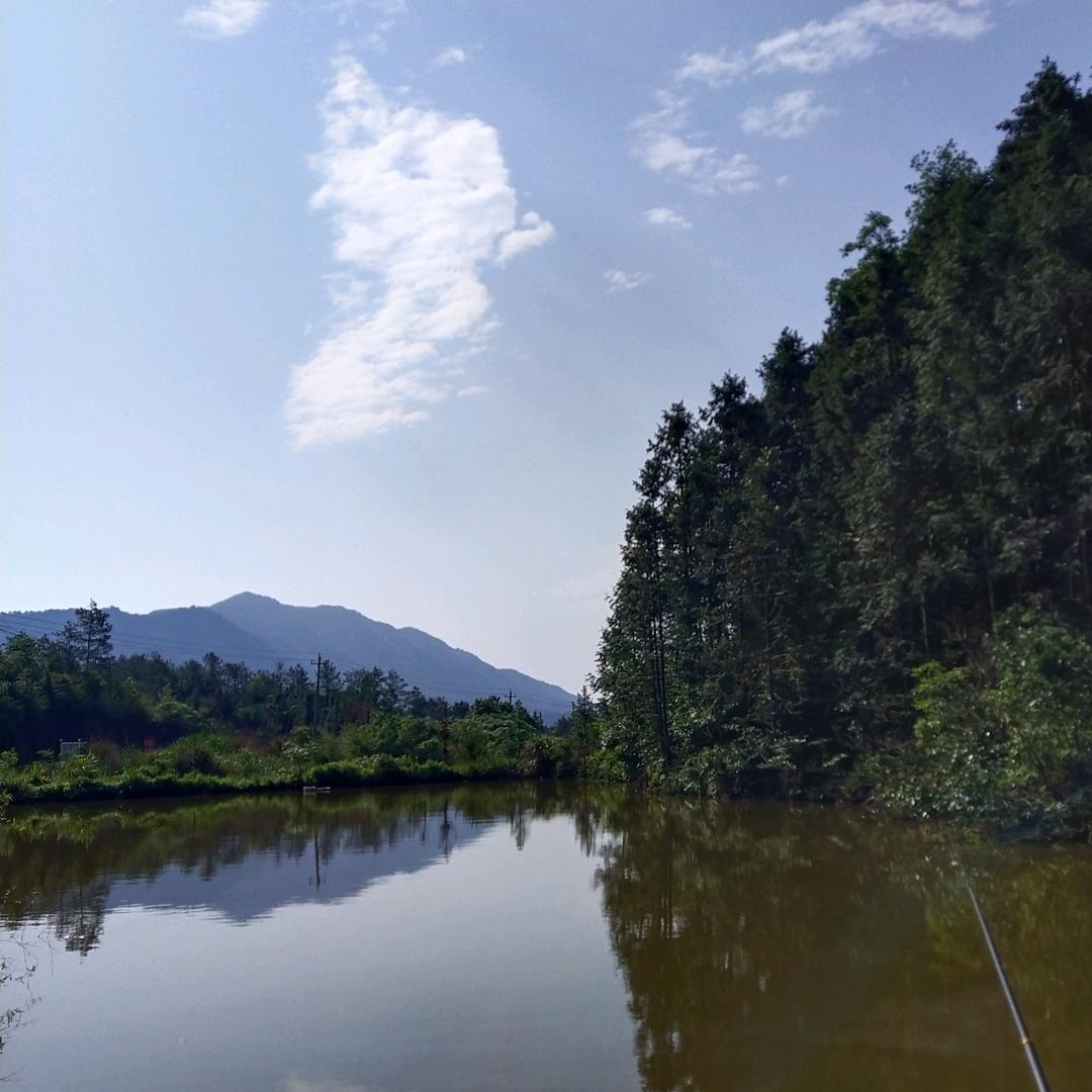 小绵羊🅵⁵¹⁵