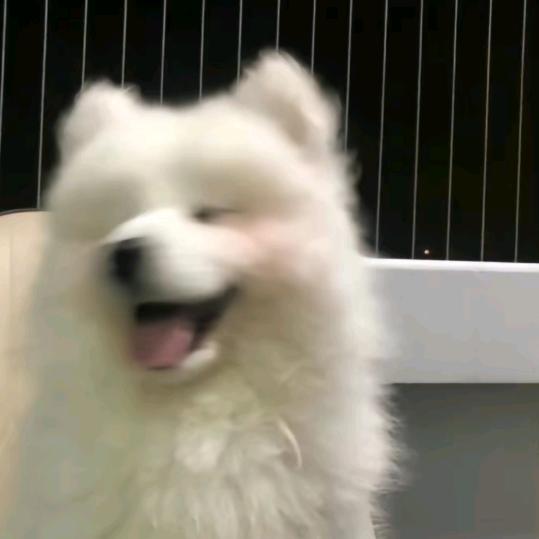 择优