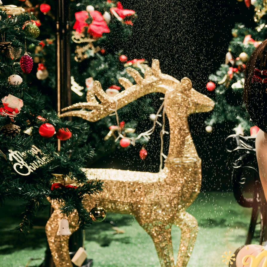 漂洋过海来看你。