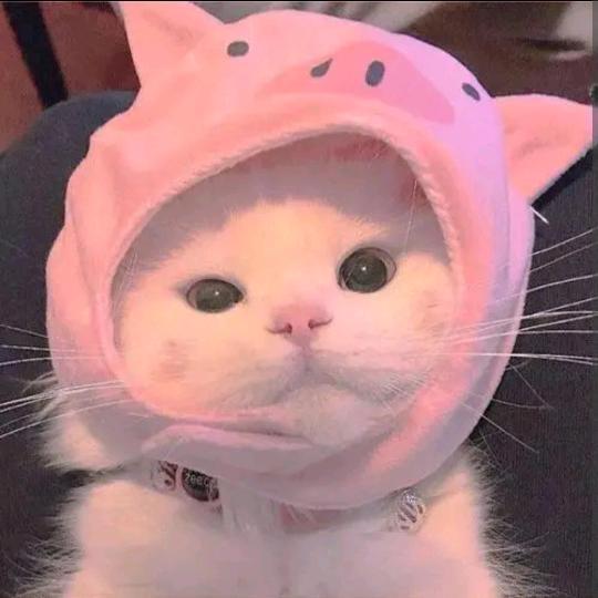 真眼世界