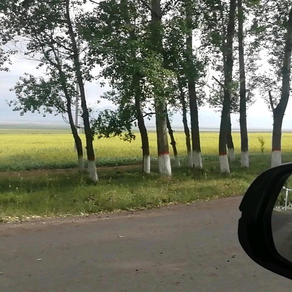 LZF