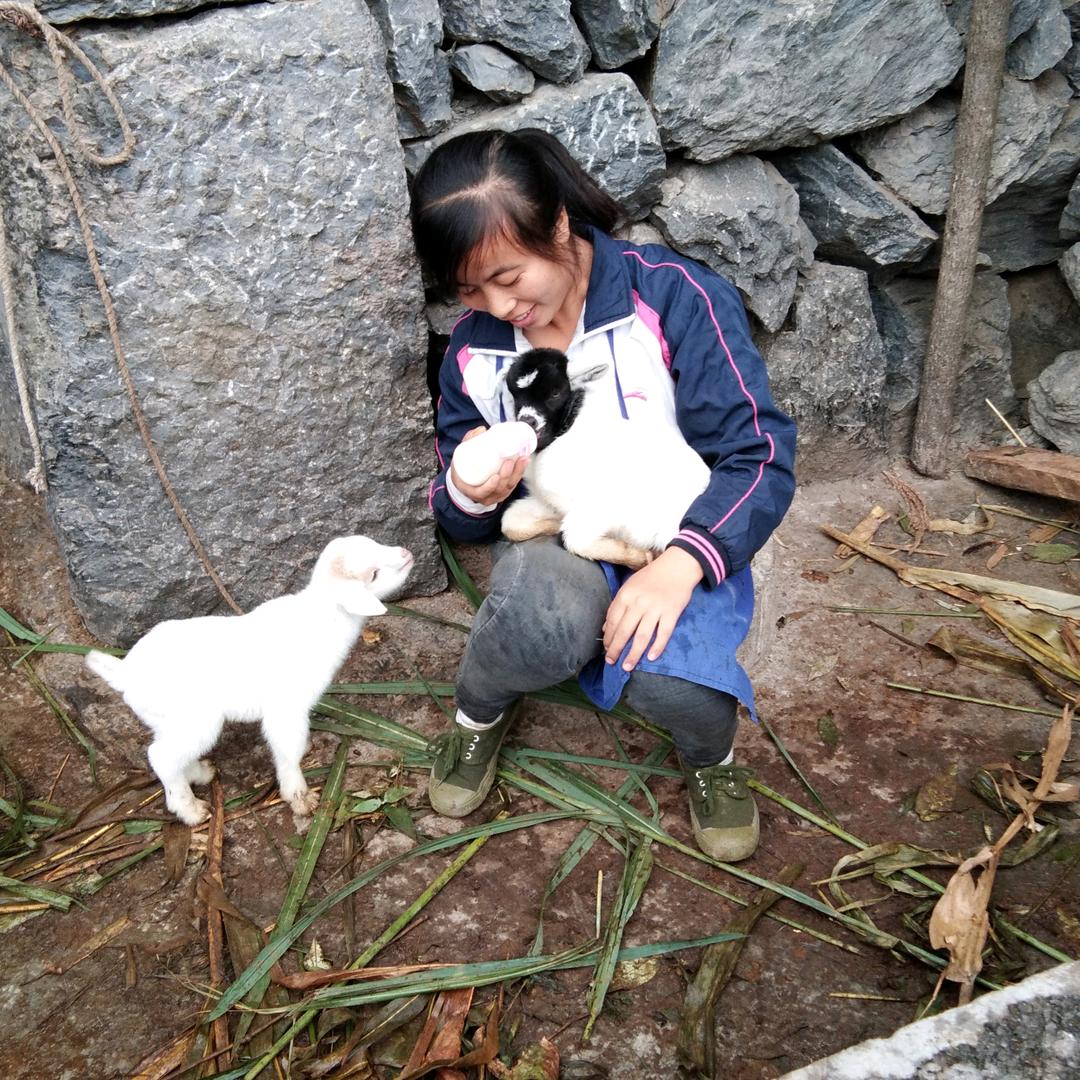 祥泰养殖🐮