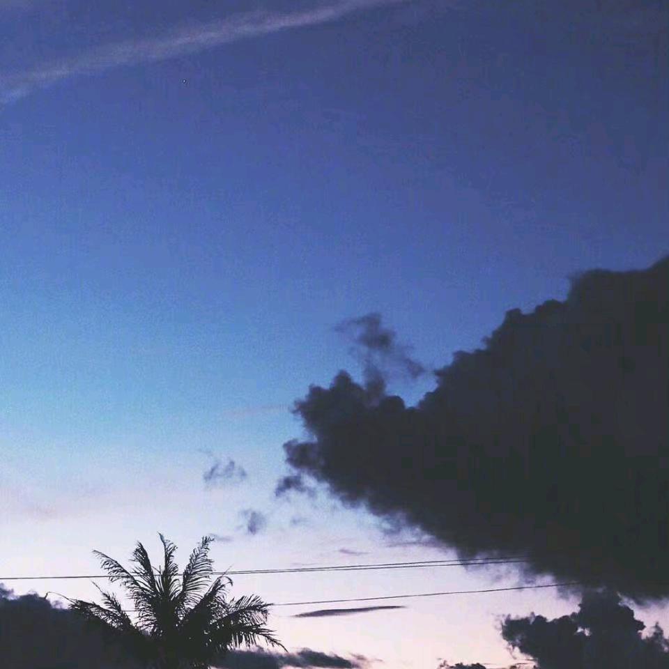 抹香鲸