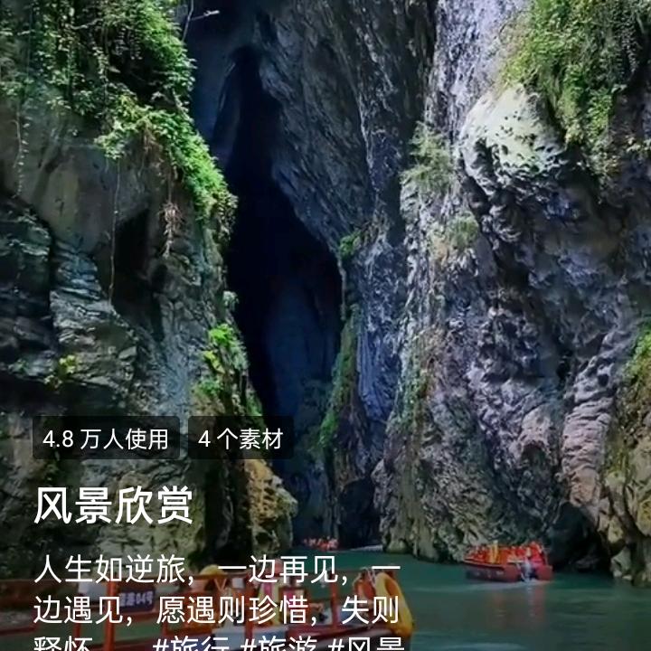 平安大姐