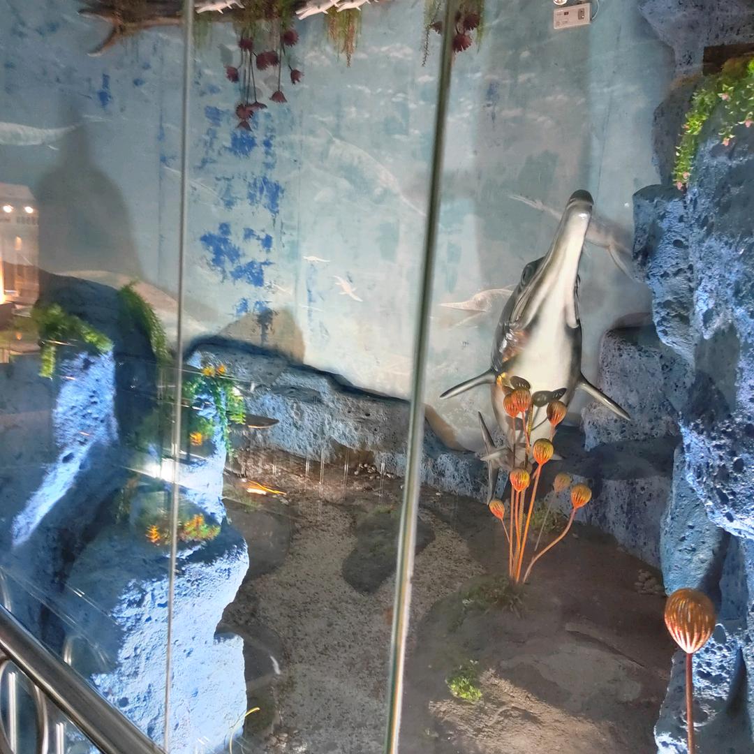 赵波，，，，做门窗