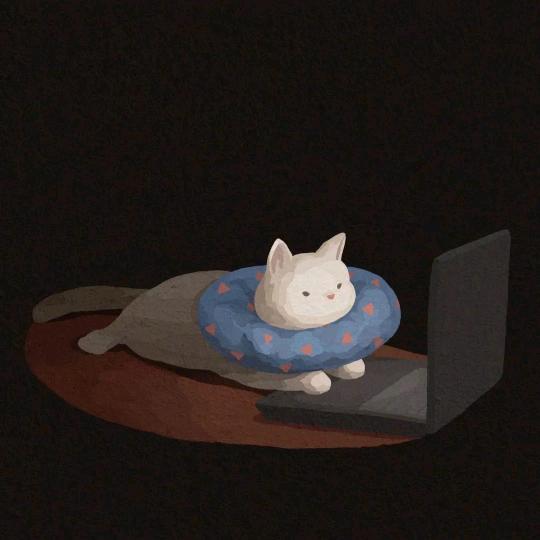   云起❁头像