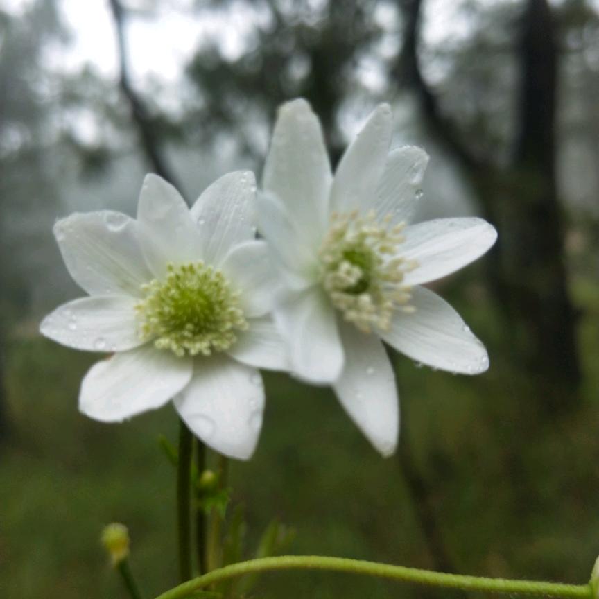 燕子优选瓜果蔬菜