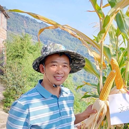 魏红刚