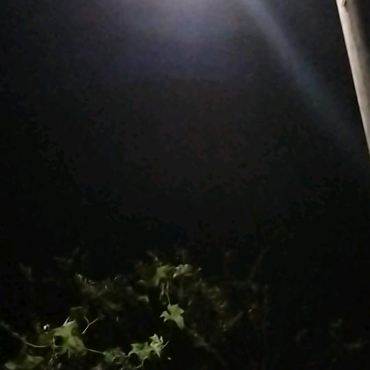 其实很孤独