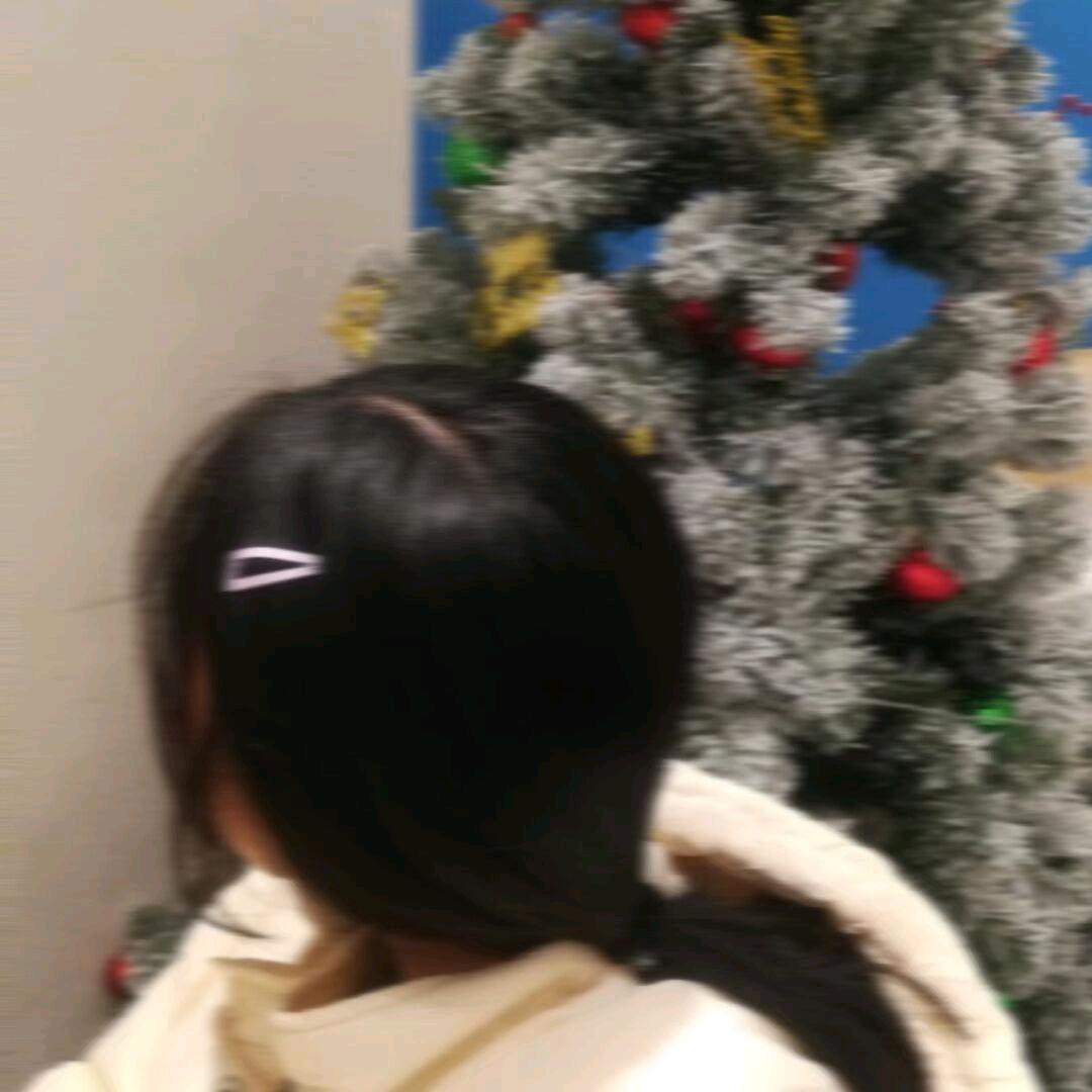 嘉嘉嘉