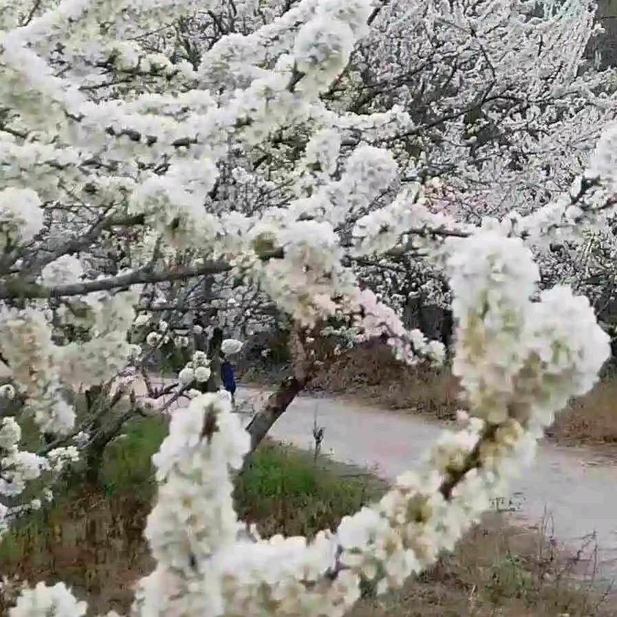 ℒᎭℯ⃝余生ᩚ安ᮨ໌້好࿐