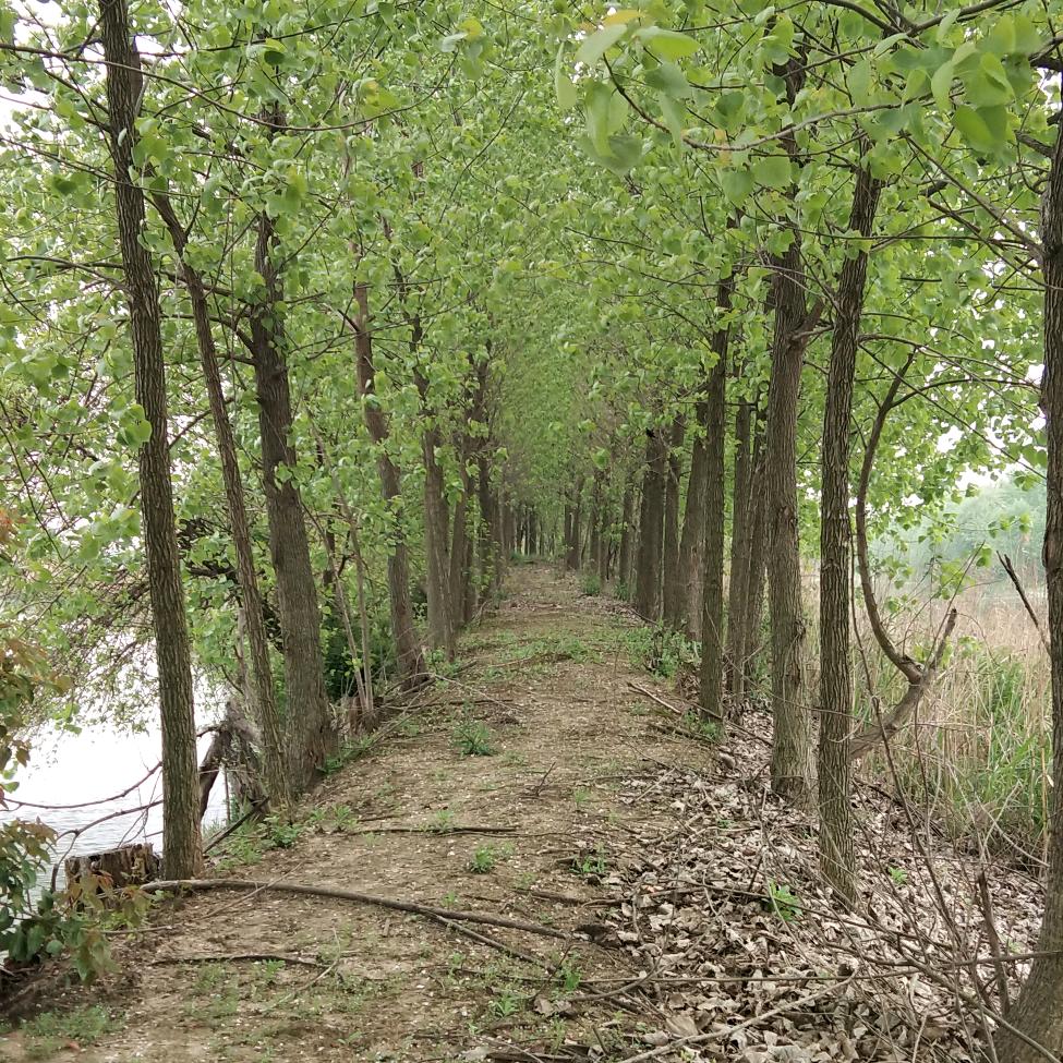 龙转乾坤牛气冲天