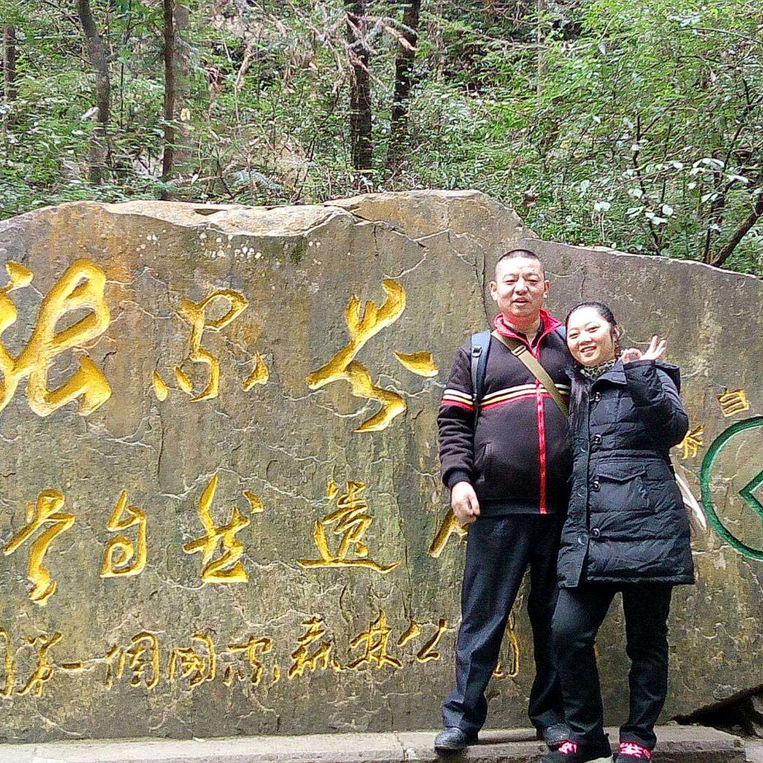美丽的蝴蝶