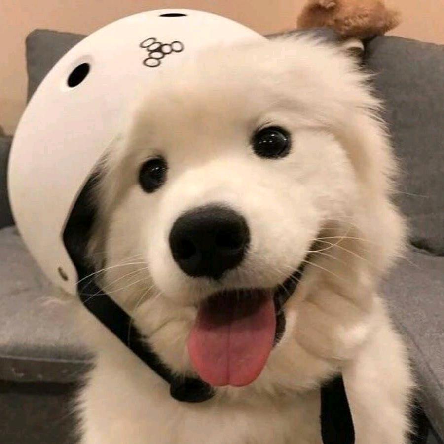 白啦啦