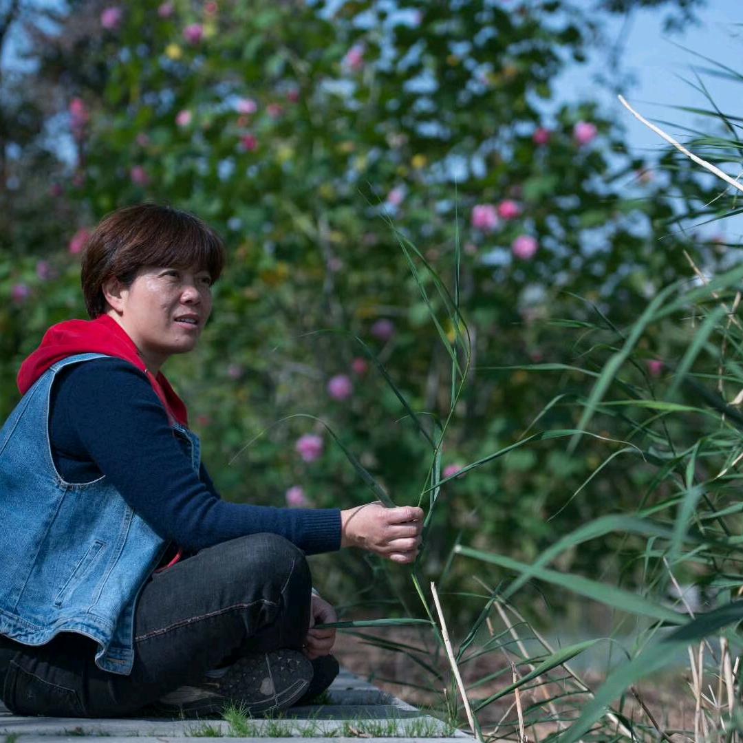 一缕阳光2021.3.23