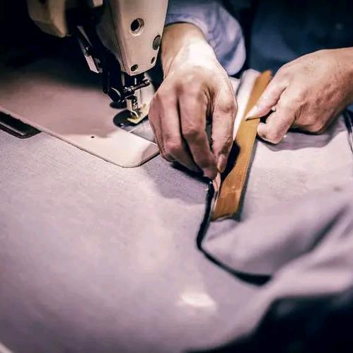 举起大象的蚂蚁