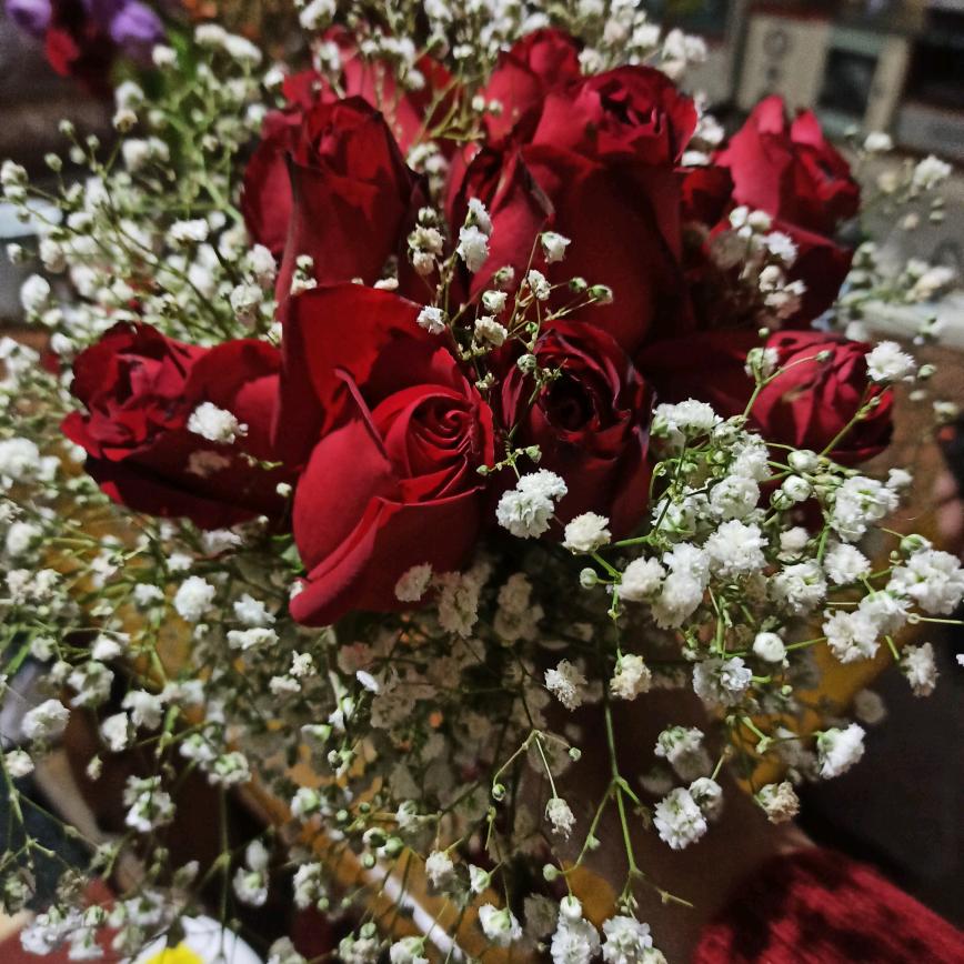 欢迎品尝（三虎葡萄园）