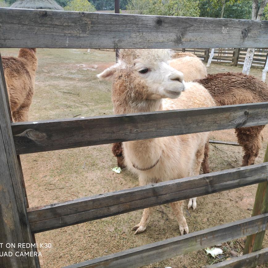 用户4820156907108小