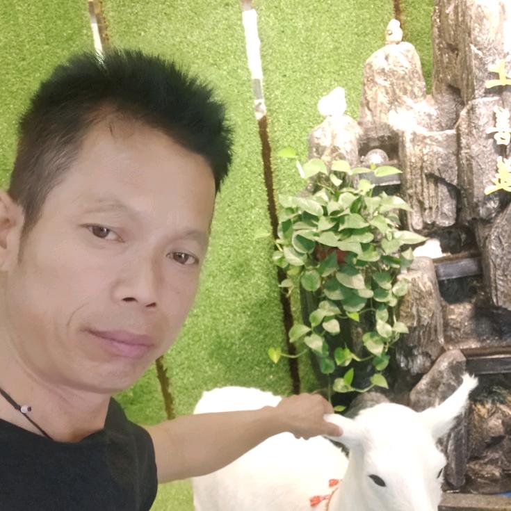 马蛋