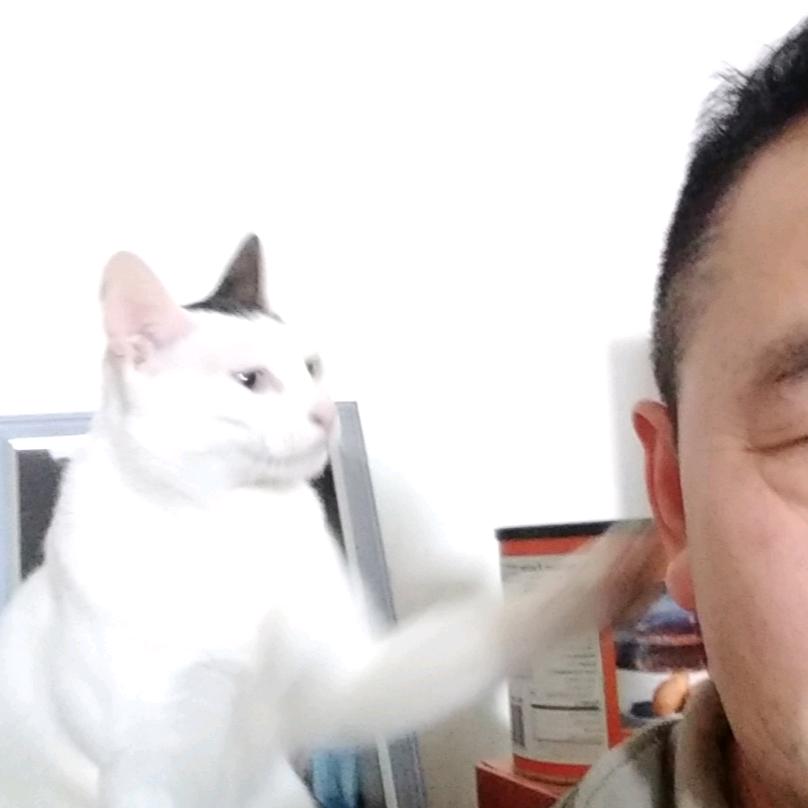 易走调爱唱歌