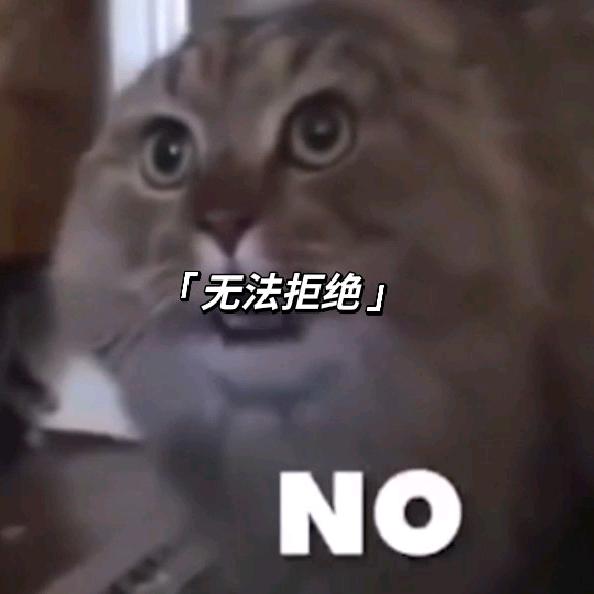 随轨迹寻花海