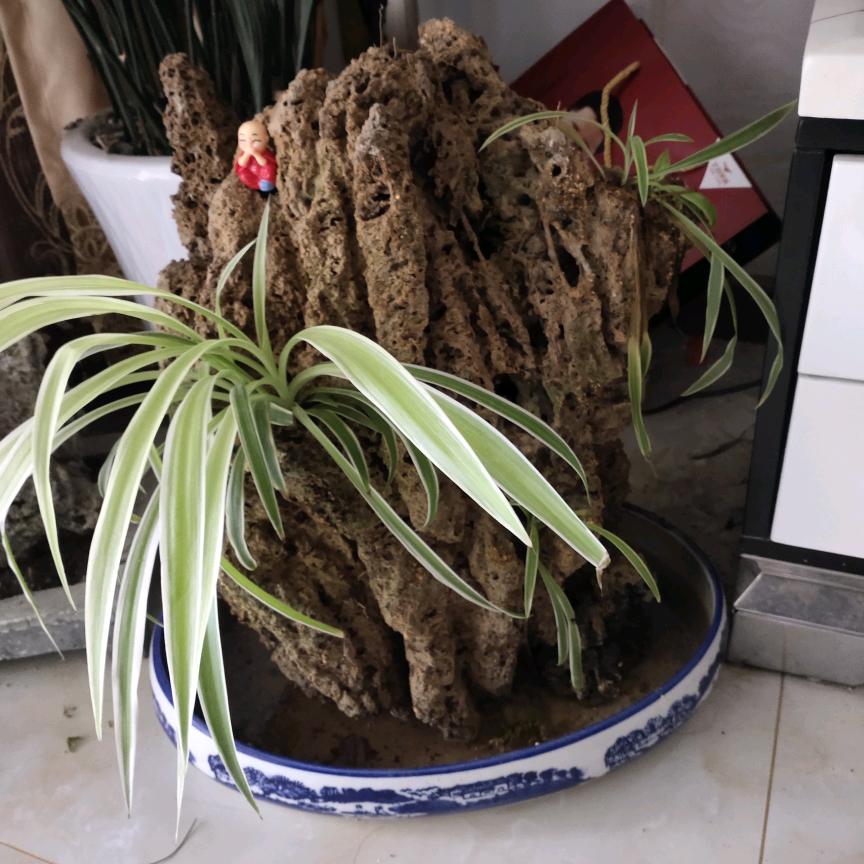 维修管道及电力的王总