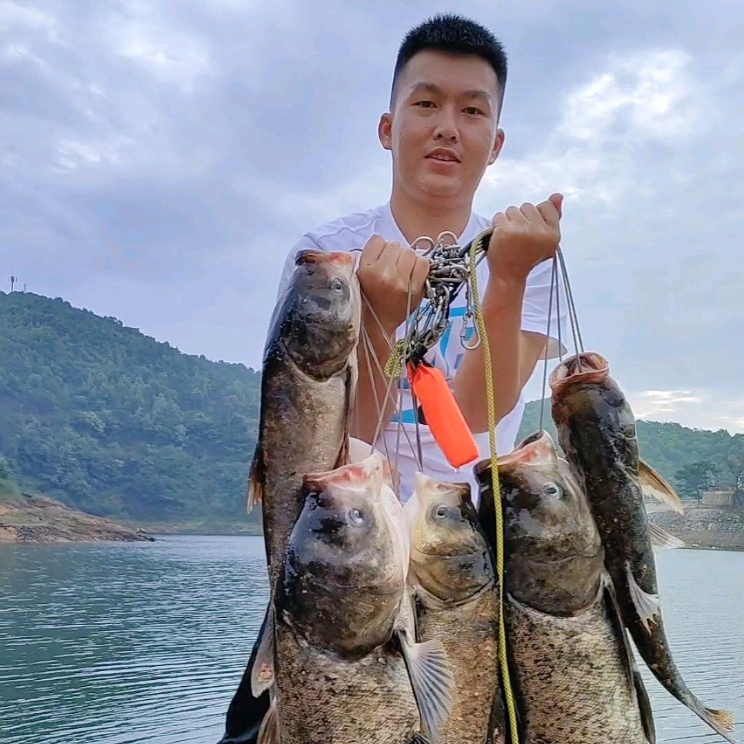 鲢鳙梁先生