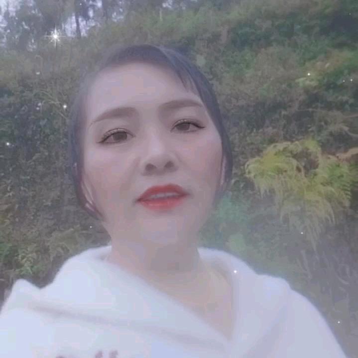 开心果