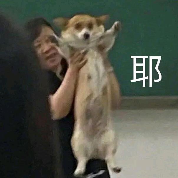 小谢要开心