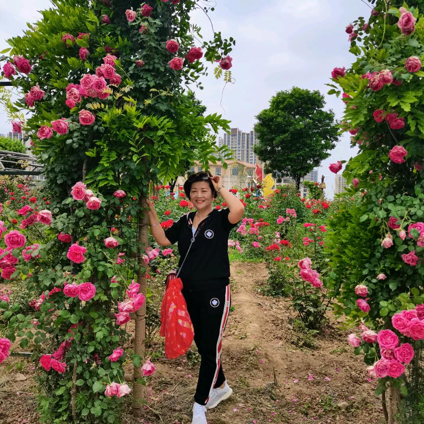 🌴🌺小云🌺🌴