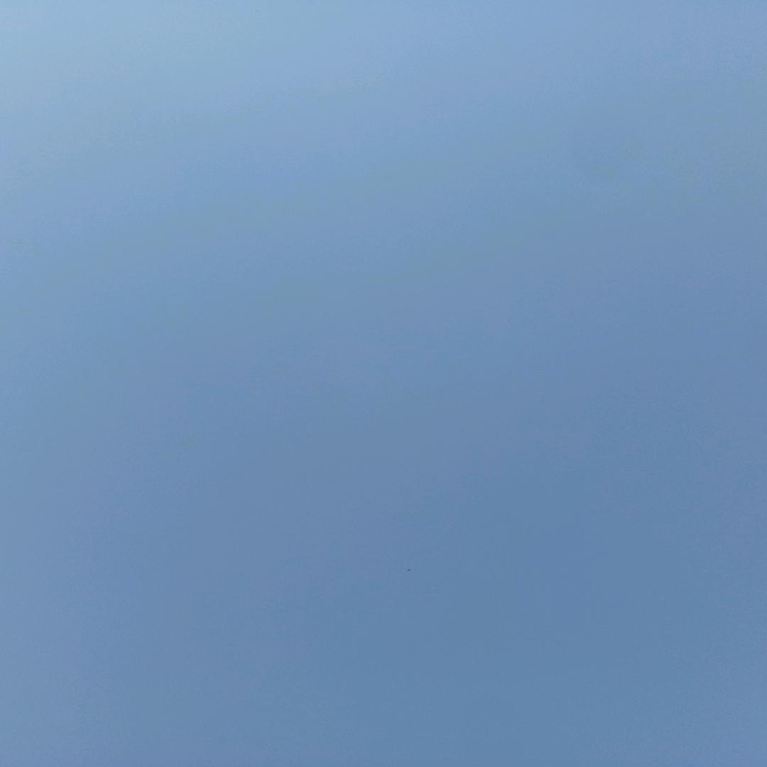 奈奈子