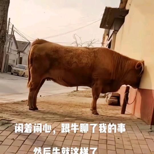 猜我的心思