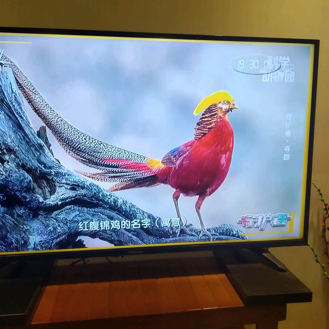 飞梦 梦飞  梦飞飞