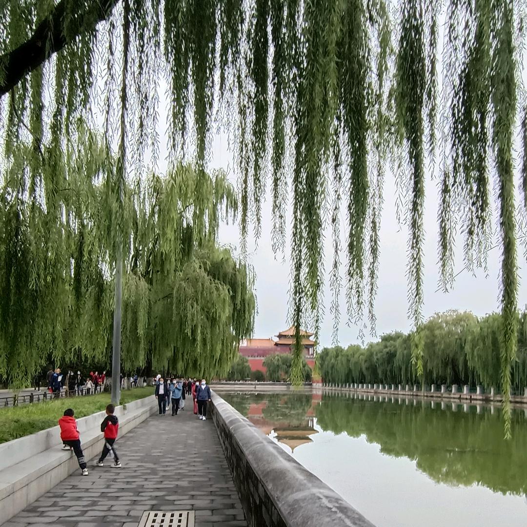 太阳羽 /#酷歌💯💯💯🎤🍃((