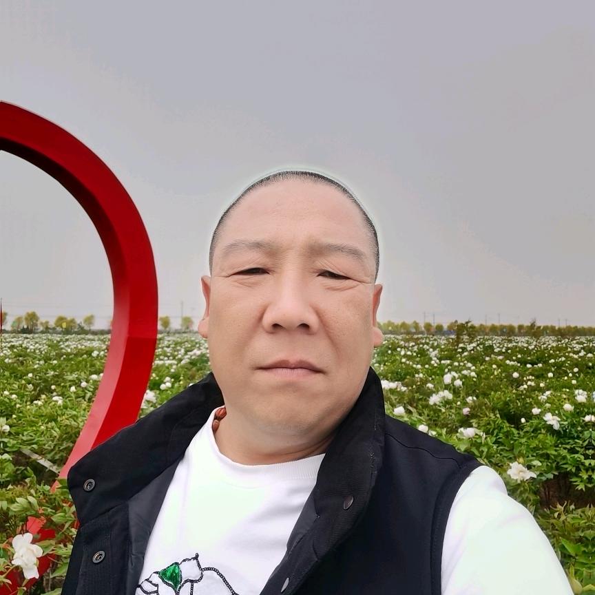 虎啸天下