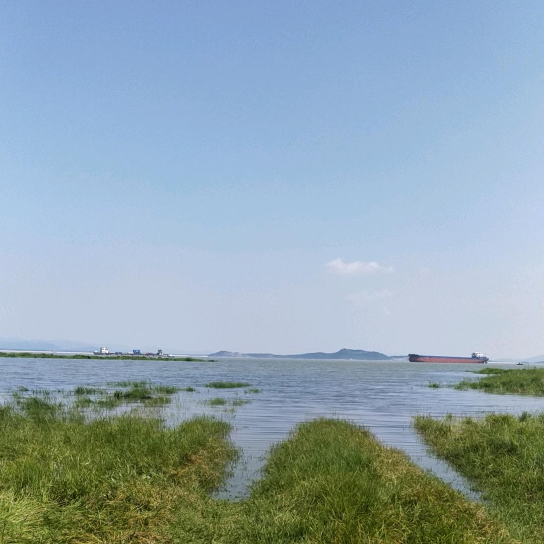 术