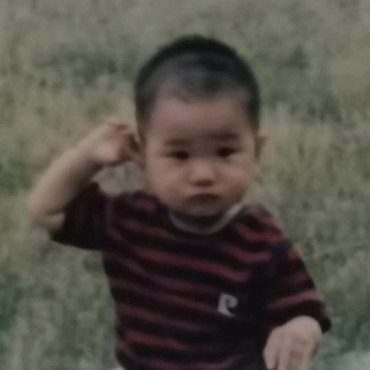 爱吃鱼丸的小新