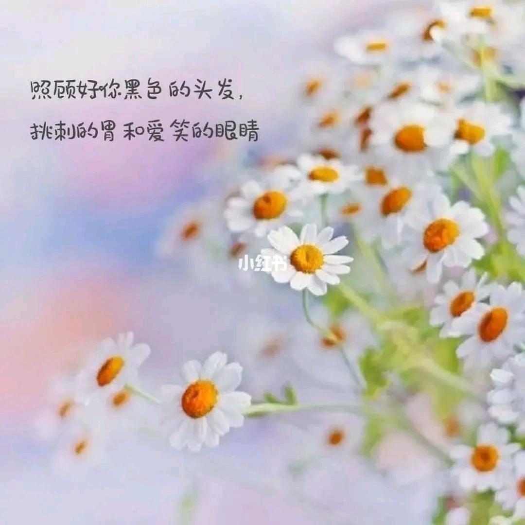 特别策划