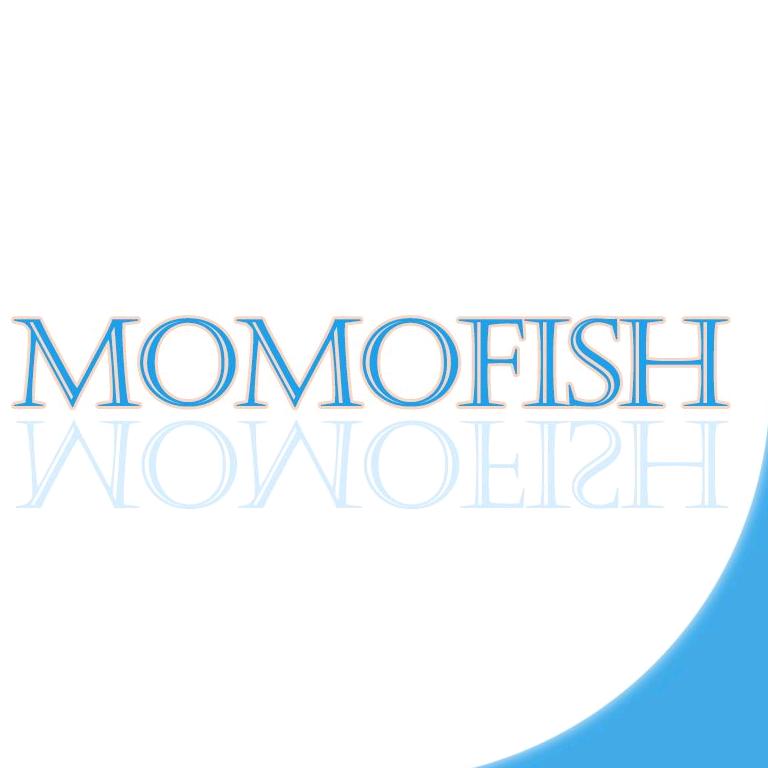 MOMOFISH上海叁言网络科技有限公司收纳用品专卖店