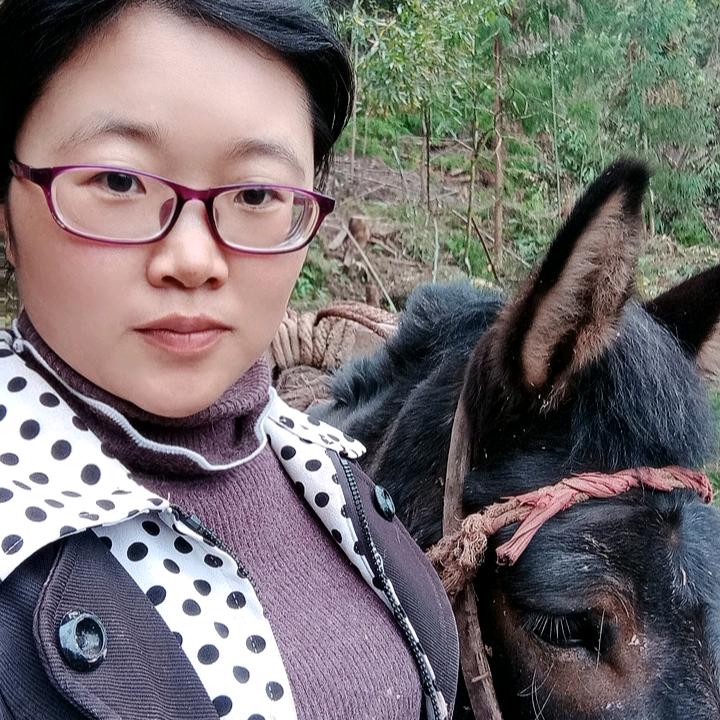 蔷薇