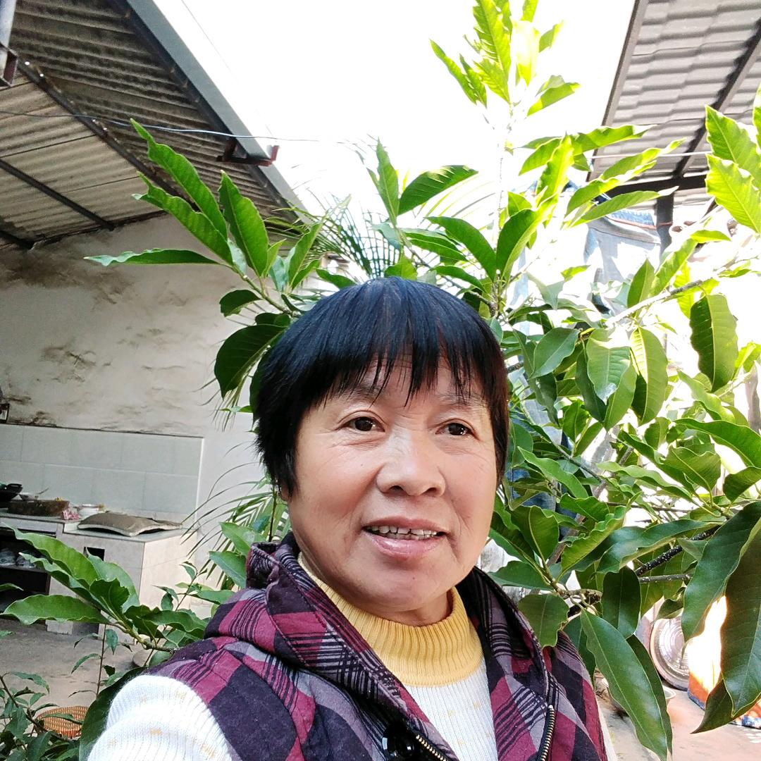春田