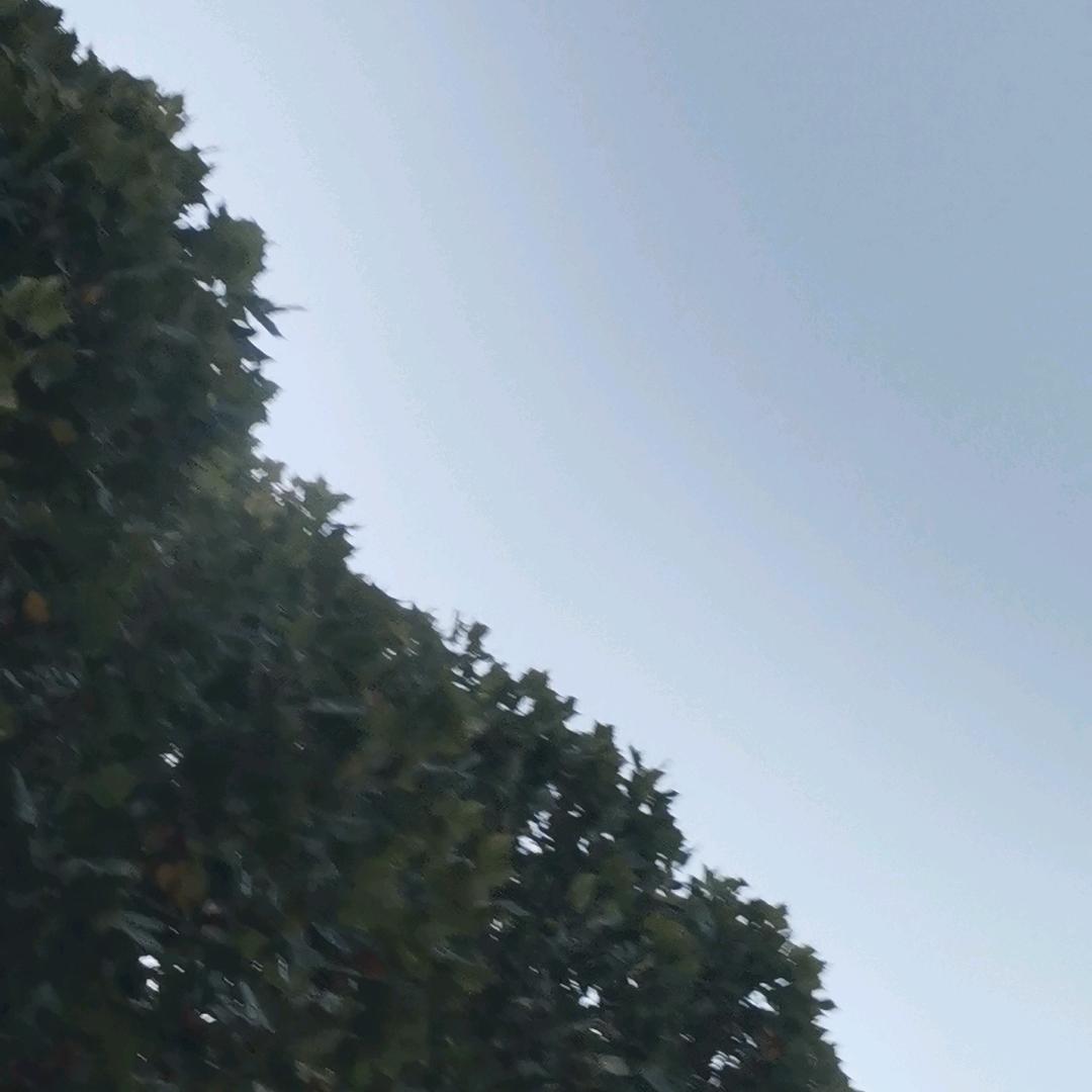篮天