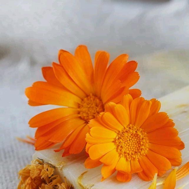 用户7897073162694刘艳