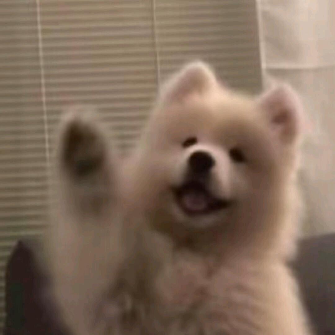 不配拥有名字的翰翰
