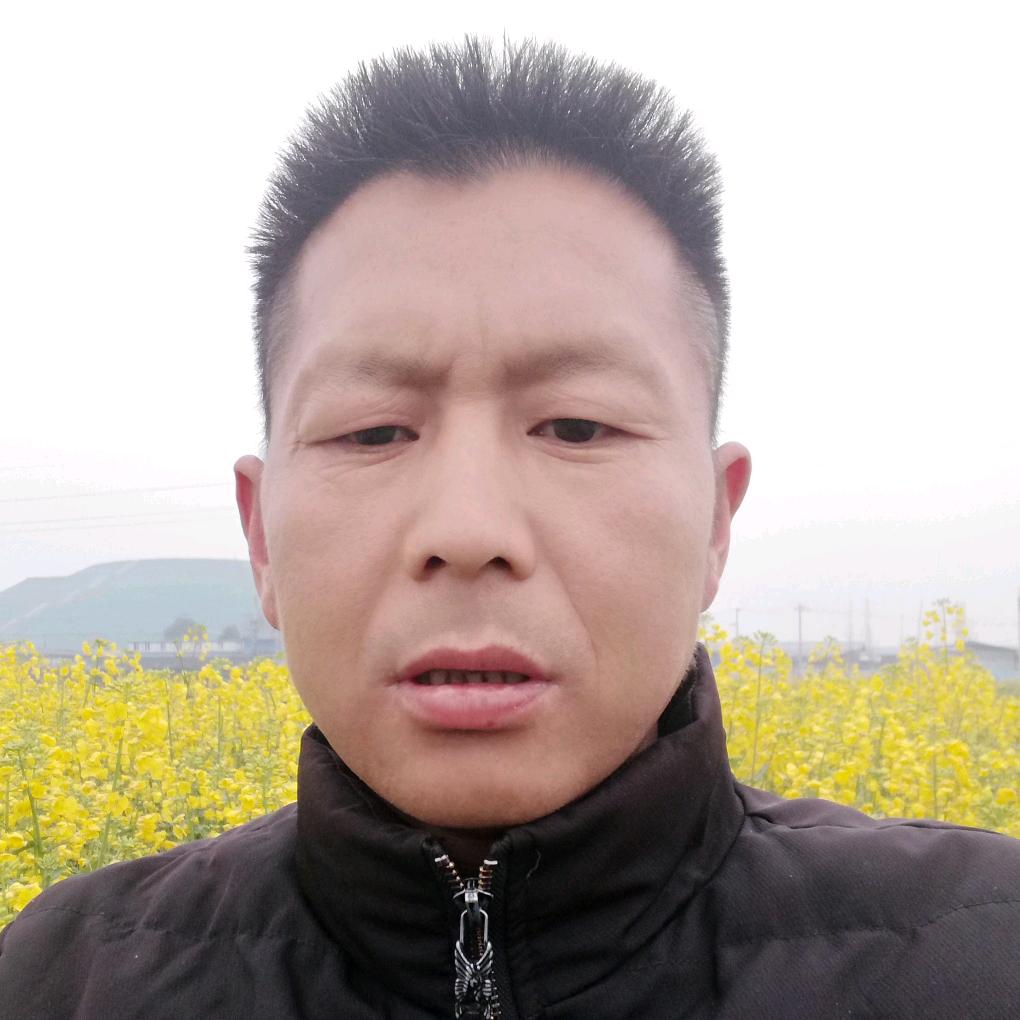 斌歌爱唱歌